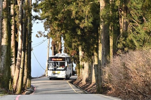 武陵櫻花花期推遲 歡迎搭台中公車來賞花