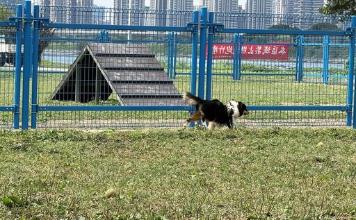 毛孩盡情奔跑 綠寶石寵物公園更新安全圍籬