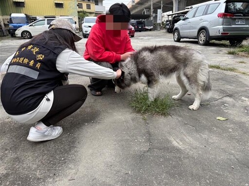 台中東勢區虐犬棄養 動保處擬重罰22.5萬元