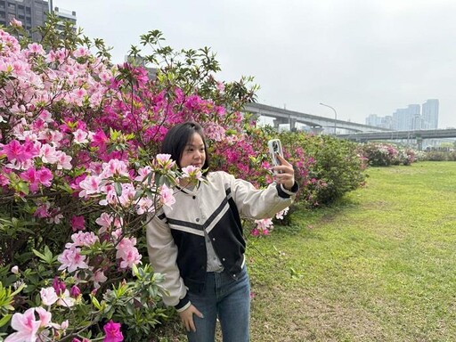 杜鵑花盛開 新北大都會公園感受春日饗宴