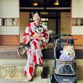 淡水古蹟博物館開放寵物入館 推寵物浴衣體驗