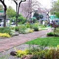 花之道計畫持續 台中忠明園道綻放自然花園新貌