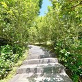 百花齊放的春季饗宴、台中大甲鐵砧山新景點桂花泉步道