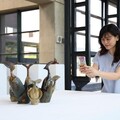 陶瓷協會鶯揚陶瓷歌頌藝術 呈現陶藝迷人風華