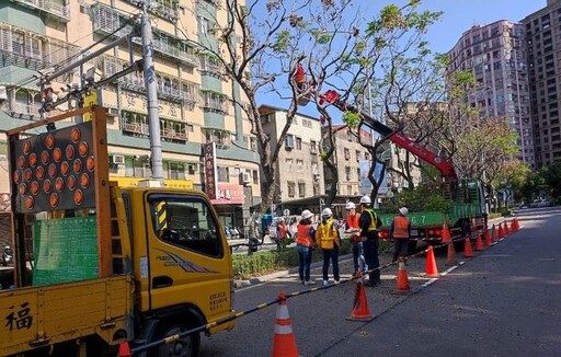 汛期來臨 新北景觀處全面部署樹木防汛整備