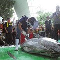黑鮪魚解體秀登場 淡水魚市漁產品促銷特賣