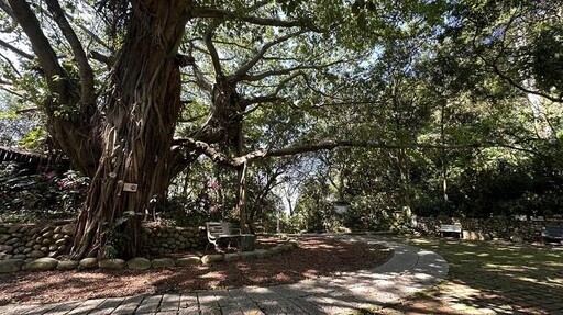 新北微笑山線百年榕園梵唱音樂會6/14療癒登場