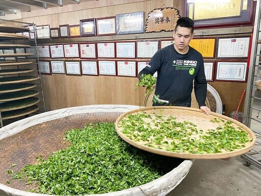 雙北製茶技術競賽 三峽青農周子耀獲得特等獎
