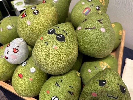 八里文旦限時預購雙重優惠 抽五星飯店自助餐