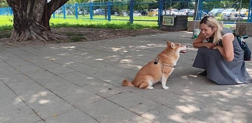 歡度國際狗狗日 新北河濱7座寵物公園好去處