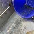 60萬尾魚苗放回大海 台中松柏漁港體驗海洋生態
