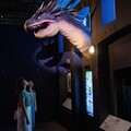 哈利波特與怪獸產地電影道具 大英自然史博館文物 暑期必逛展覽