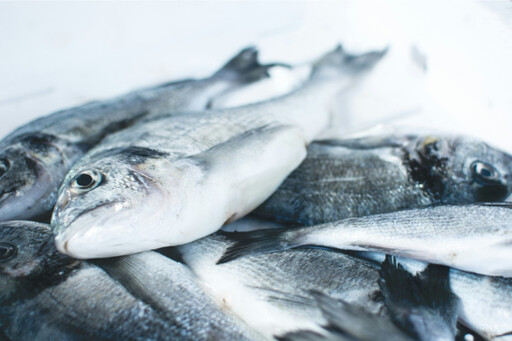 驚！市售海產驗出禁藥 1千公斤魚全數售出、食藥署僅追回4成