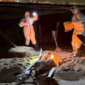 才被國際認證「三大豬病淨土」金門卻漂非洲豬瘟屍體 即刻封禁