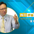 【梅花評論】新加坡從「花園城市」到「自然中的城市」