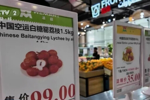 小小荔枝征服杜拜土豪:中國水果的逆襲與崛起