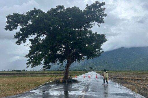 丹娜絲陸警發布 南台灣多地6日放颱風假 陸空交通大亂