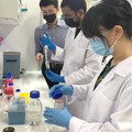 細菌能發電！高醫大李偉鵬團隊打造綠能微發電奈米革命 再獲教部肯定