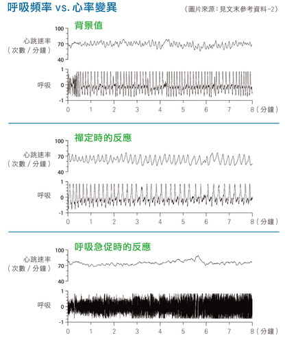 【禪與科學】實驗證明禪定滋養大腦 保護心臟