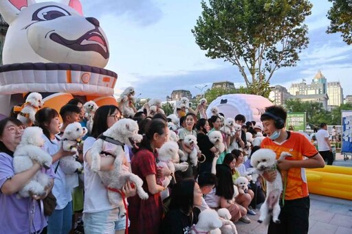 寵物「單飛」坐高鐵 「寵物友好」促大陸「它經濟」爆發