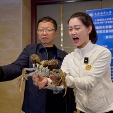 大陸河蟹「奧斯卡」揭曉 江西蟹王重奪冠、上海蟹首度封后！