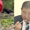 日本黑熊襲擊創新高 石破茂建議「熊肉叉燒配紅酒」引爭議