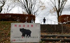 誤打誤撞成日本獵人 90後大陸留學生站上「2025熊災」第一線