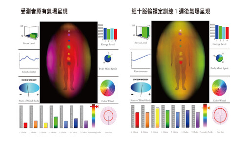 【禪與科學】從人體氣場能量看印心禪法十脈輪禪定