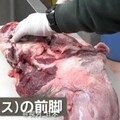 日本「熊肉野味餐廳」天天客滿 獵人：用吃的才能控制熊災