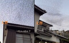 日本「令和6年能登半島地震」1885年來最強 發生前2天「大量烏鴉飛上天」