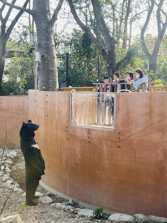 工讀生出來！壽山動物園台灣黑熊神秘站立與遊客拜年