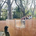 工讀生出來！壽山動物園台灣黑熊神秘站立與遊客拜年