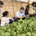 新北青農林芷誼推食農教育、實踐ESG 種有機蔬菜回饋社會