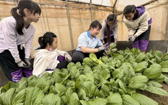 新北青農林芷誼推食農教育、實踐ESG 種有機蔬菜回饋社會