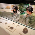 新北考古生活節臺日連線 跨越千里同步展出動物考古特展