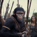 【本週新片】《猩球崛起》人類和猩猩展開全新篇章 《我在這裡等你》范少勳、劉俊謙台港男神同框