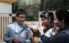 響應530國際抱貓日 動保處： 6月7日前貓公所認養送好禮