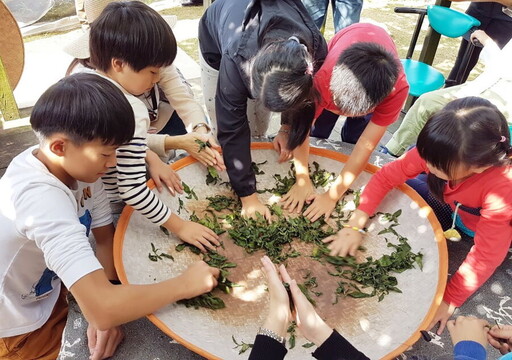 中秋節小旅行 新北市圖邀親子體驗月見豆腐與茶鄉風情