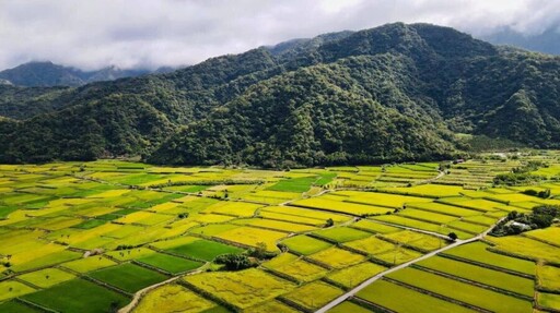 給自己一個小旅行 來美麗的花東縱谷聽音樂！