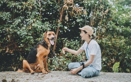 大型犬辛巴逆轉人生 動保處歡迎民眾至官方網站認養訓練犬隻