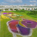 三重鴨鴨公園「花繪三重奏」 10萬盆花海與光雕夢幻登場