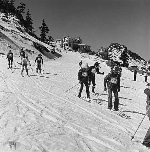 台灣曾有滑雪場！60年前合歡山飆速消失原因曝