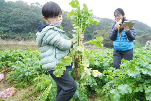 新年走春！體驗農民豐收樂趣 新北青農推食農體驗