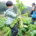 新年走春！體驗農民豐收樂趣 新北青農推食農體驗