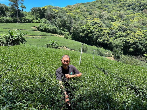 百工百業／從肥料商到茶藝師 許瑞麟的奇萊山茶園傳奇