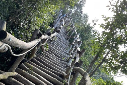 快樂登山人／新手入門 陳世耀推八里觀音山、頭嵙山、高雄壽山