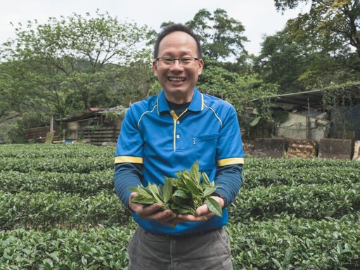 深坑區農會總幹事黃土水投入製茶 勇奪石碇冬季包種茶特等獎