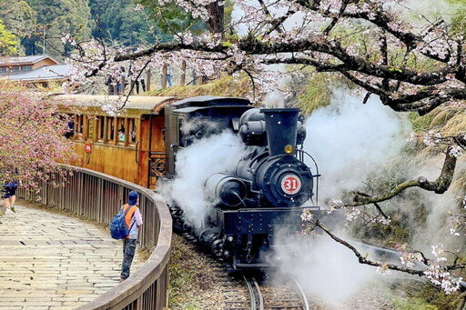 阿里山百年蒸汽賞櫻列車2／25開放訂票 感受鐵道山林古典魅力