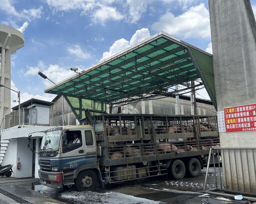 防堵非洲豬瘟！新北動保處加強防疫 籲端午勿帶豬肉製品返台