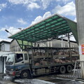 防堵非洲豬瘟！新北動保處加強防疫 籲端午勿帶豬肉製品返台